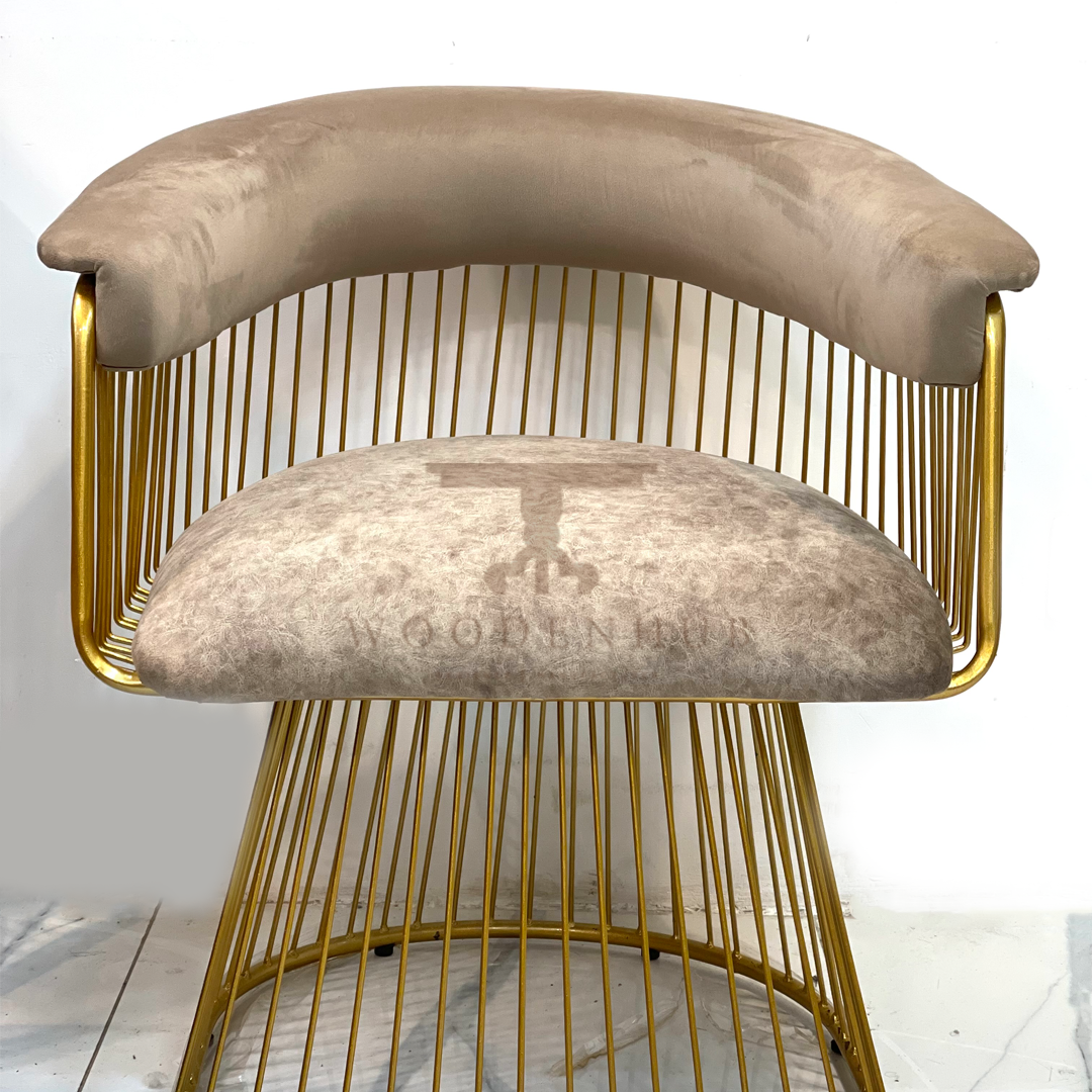 Cage Modern Bedroom Chair